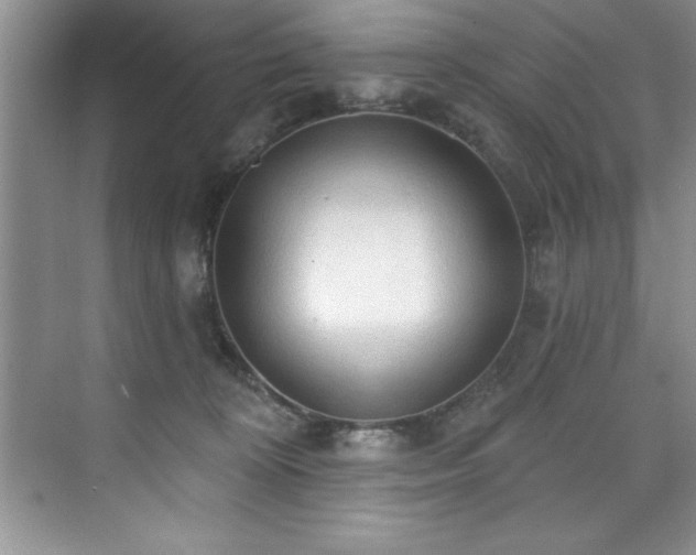 X0000076220324200609281119