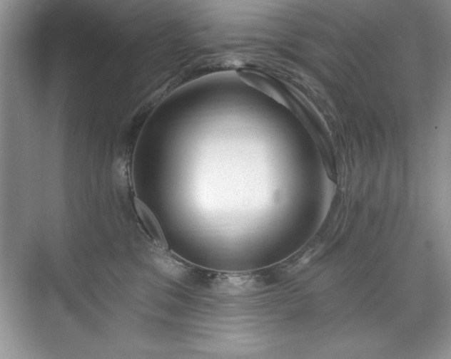 X0000076220329200609281119
