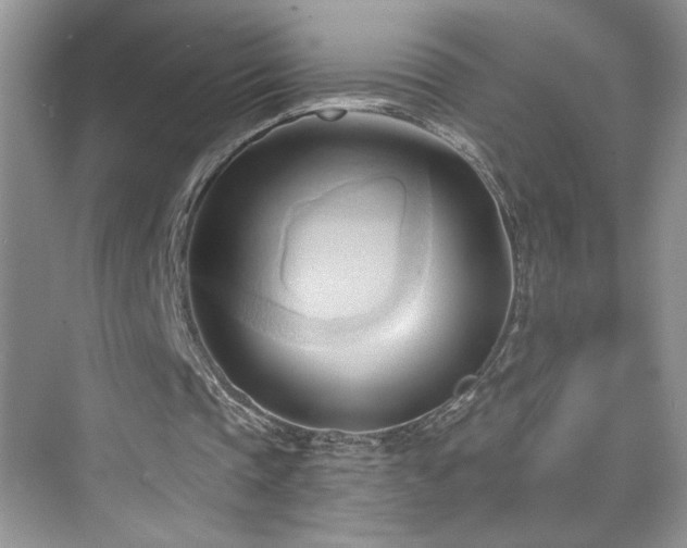 X0000076220337200609281118