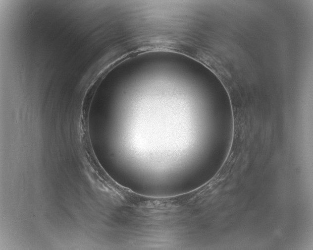 X0000076220338200609281118