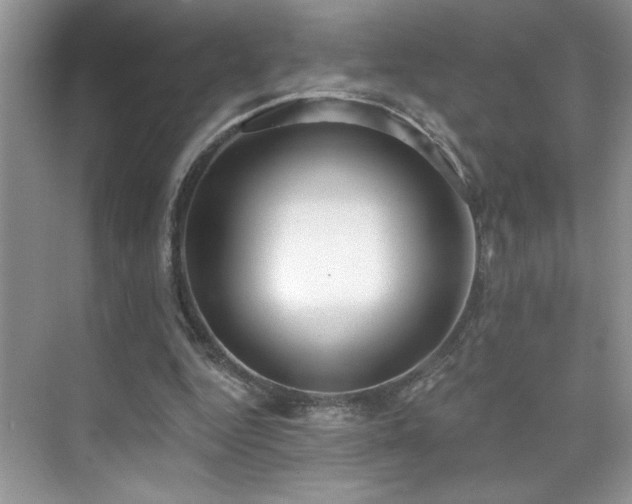 X0000076220344200609281118