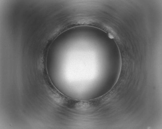 X0000076220354200609281118