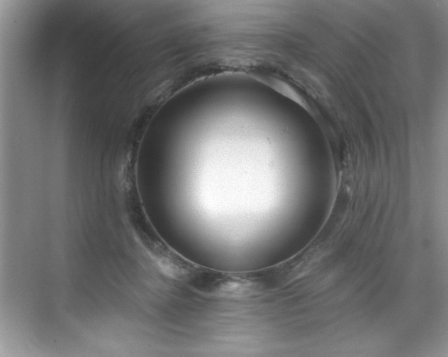 X0000076220364200609281118