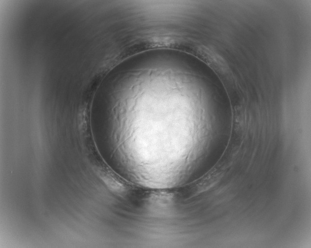 X0000076220369200609281119