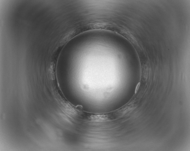 X0000076220378200609281119