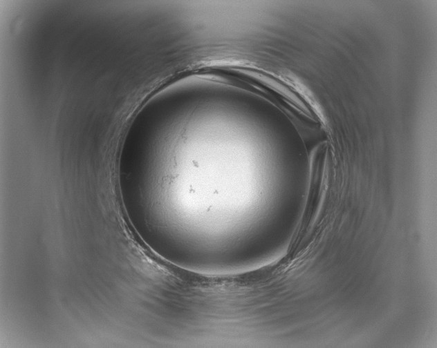 X0000076220385200609281118