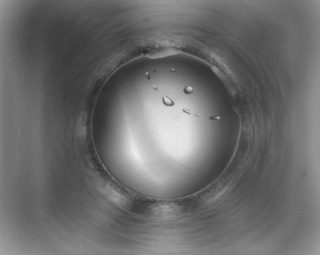 X0000076220402200609281118