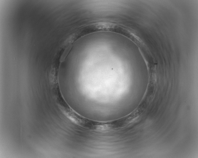 X0000076220411200609281118