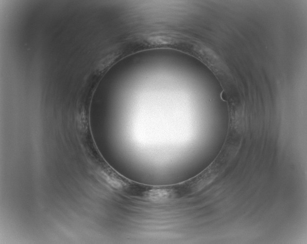 X0000076220418200609281117
