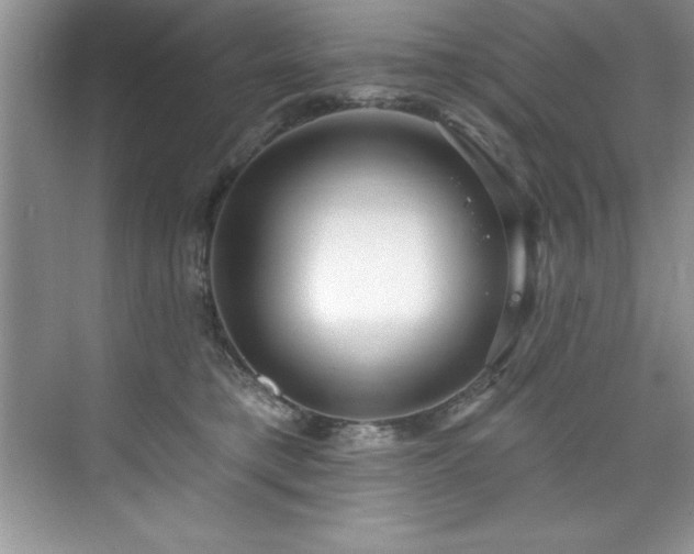 X0000076220421200609281117