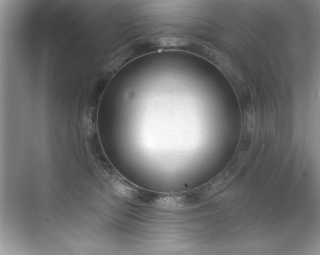X0000076220422200609281117