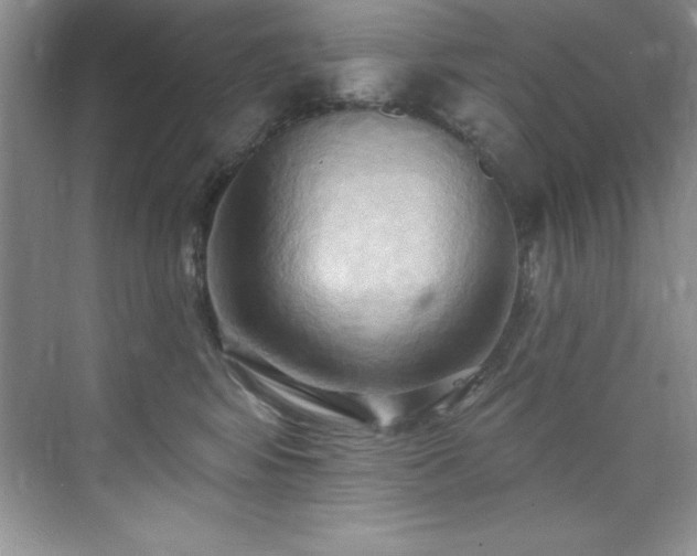 X0000076220424200609281117