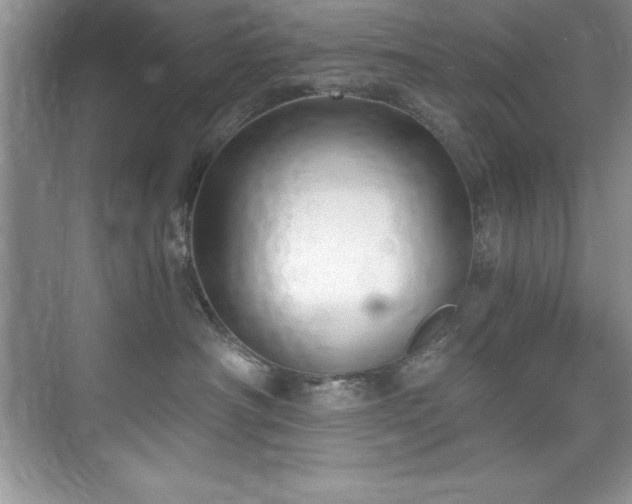 X0000076220430200609281117
