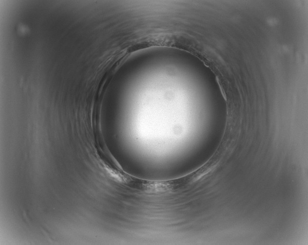 X0000076220432200609281117