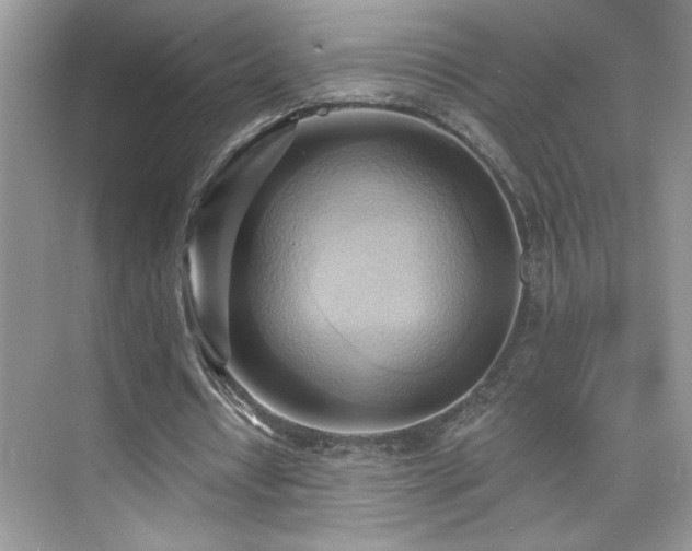 X0000076220434200609281116