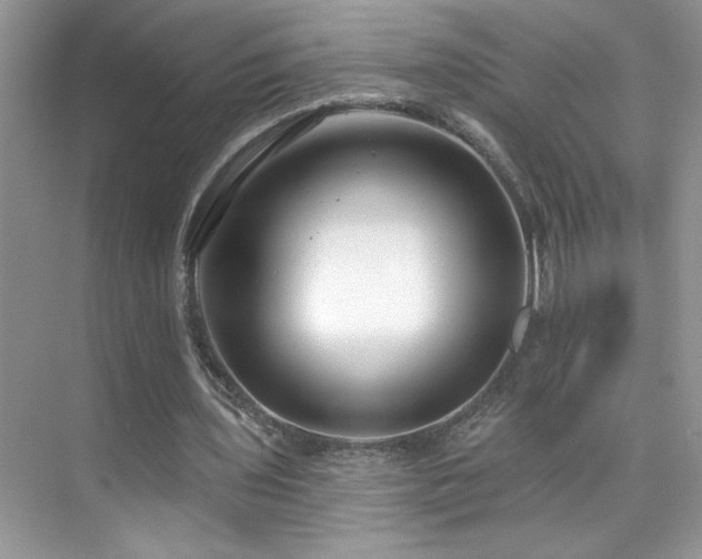 X0000076220435200609281116