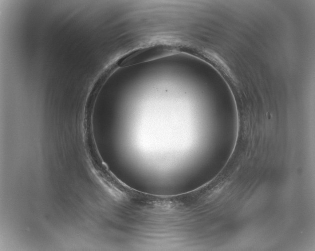 X0000076220439200609281117