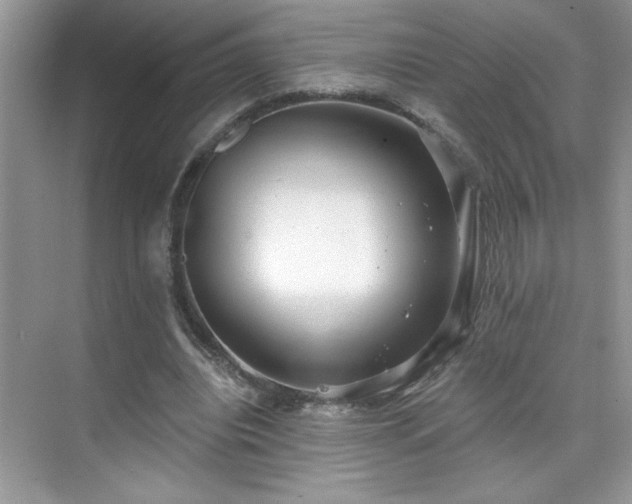 X0000076220440200609281117
