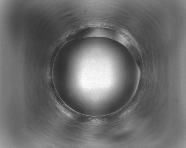 X0000076220441200609281117