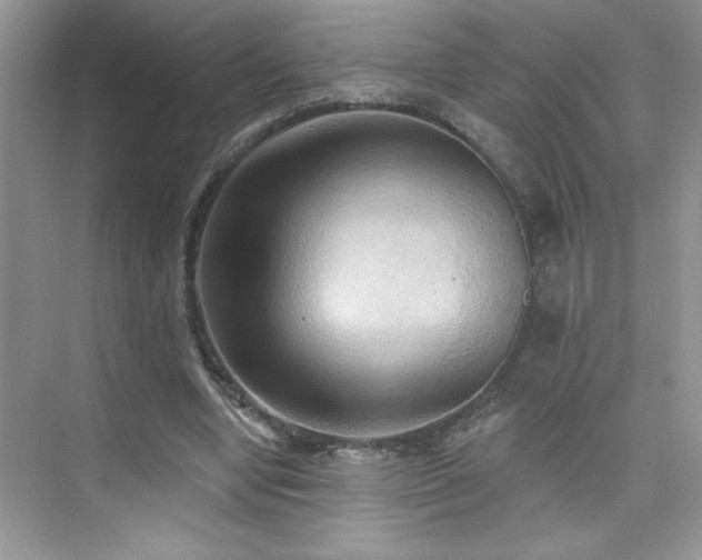X0000076220442200609281117
