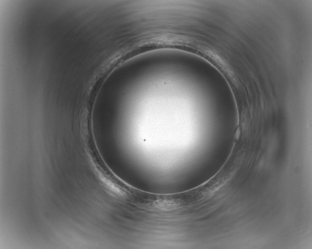 X0000076220445200609281117
