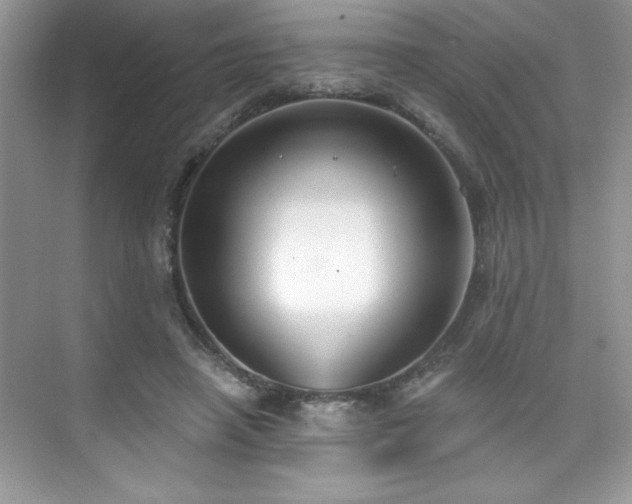 X0000076220450200609281117