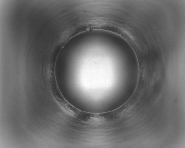 X0000076220455200609281117