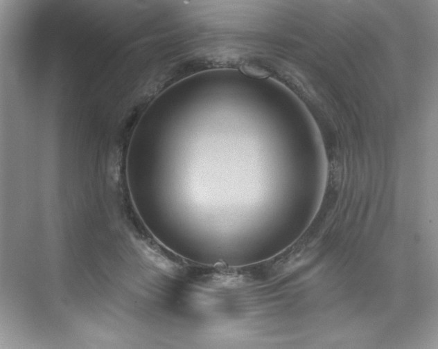 X0000076220458200609281117