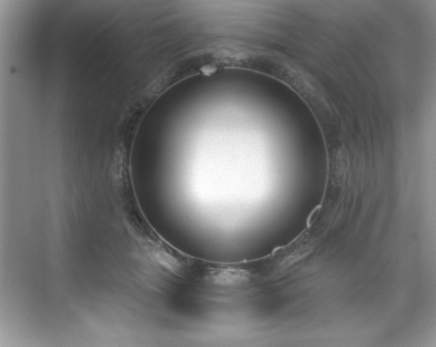 X0000076220463200609281117