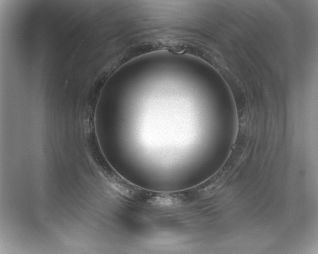 X0000076220464200609281117