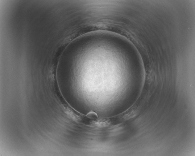 X0000076220466200609281117