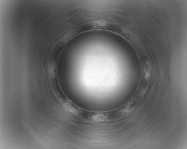 X0000076220468200609281117