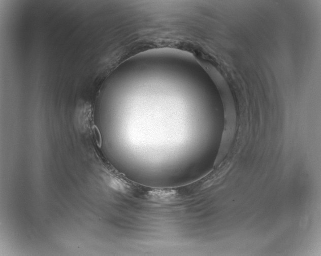 X0000076220480200609281117