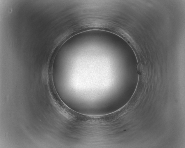 X0000076220482200609281116