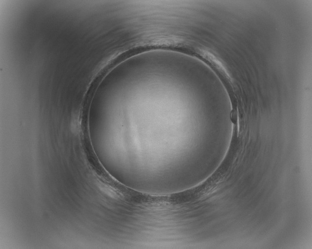 X0000076220483200609281116