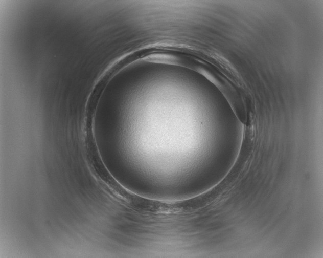 X0000076220484200609281116