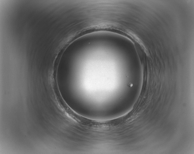 X0000076220485200609281116