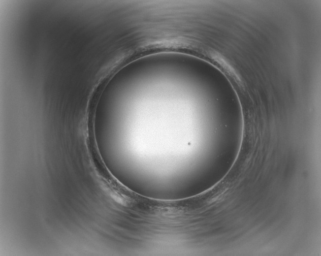 X0000076220486200609281116
