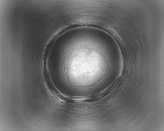 X0000076220488200609281116