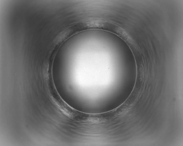 X0000076220490200609281116