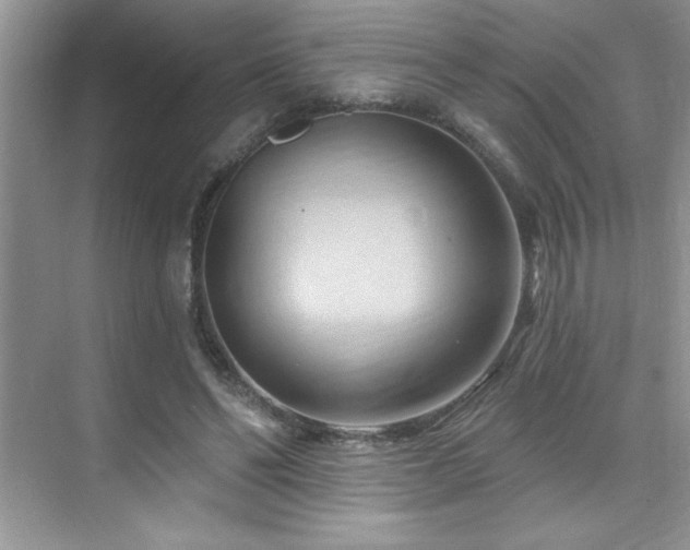 X0000076220494200609281116