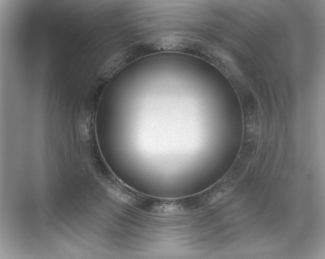 X0000076220503200609281116
