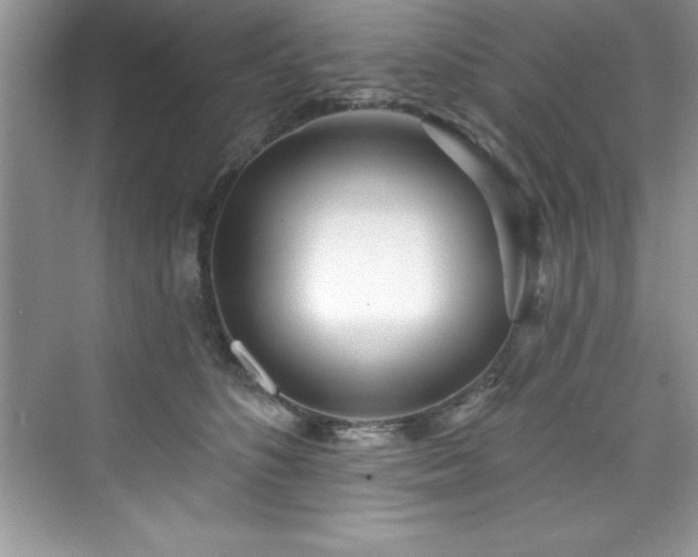 X0000076220516200609281116