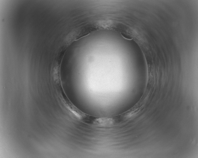 X0000076220526200609281116