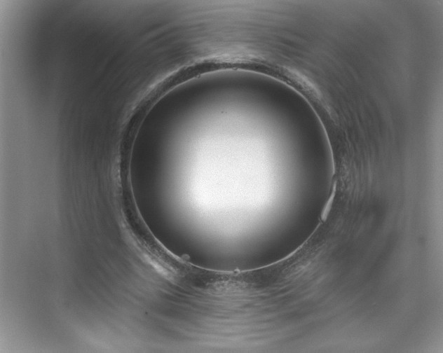X0000076220535200609281115