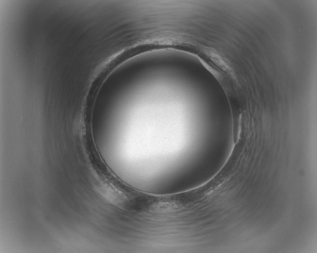 X0000076220536200609281115