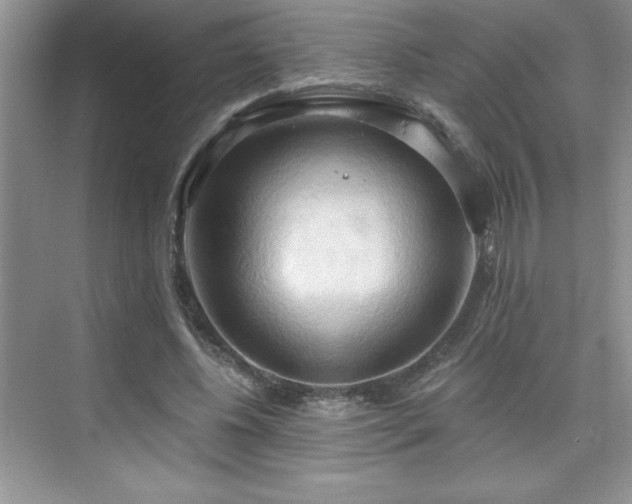 X0000076220540200609281115