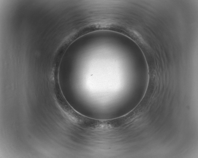 X0000076220543200609281115