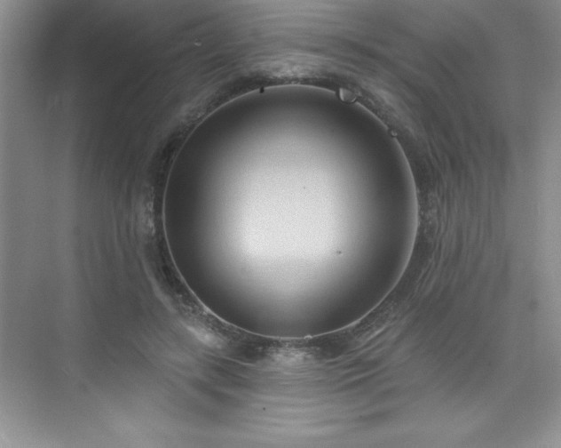 X0000076220547200609281115