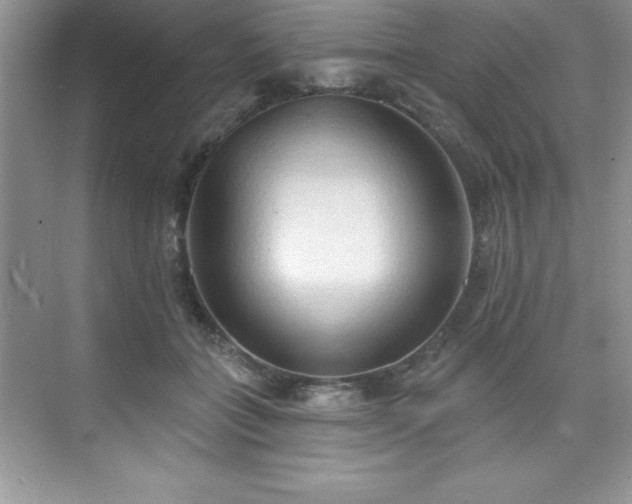 X0000076220555200609281115